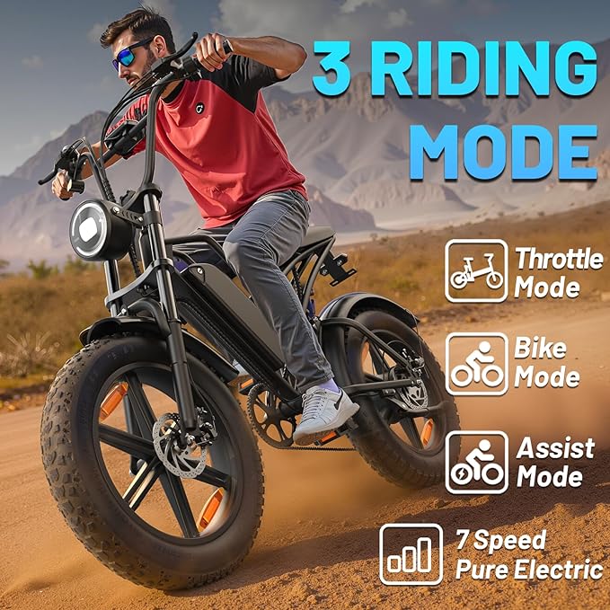 E500 Electric Bike for Adults 1000W Peak Motor, 20" Fat Tire Electric Bicycles with 40 Miles PAS Range, 7 Speed E-Bike with 48V Removable Battery, Dirt Ebike for Mountains, Sand, Road, Beach, Snow