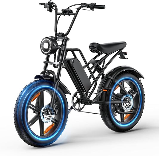 E500 Electric Bike for Adults 1000W Peak Motor, 20" Fat Tire Electric Bicycles with 40 Miles PAS Range, 7 Speed E-Bike with 48V Removable Battery, Dirt Ebike for Mountains, Sand, Road, Beach, Snow