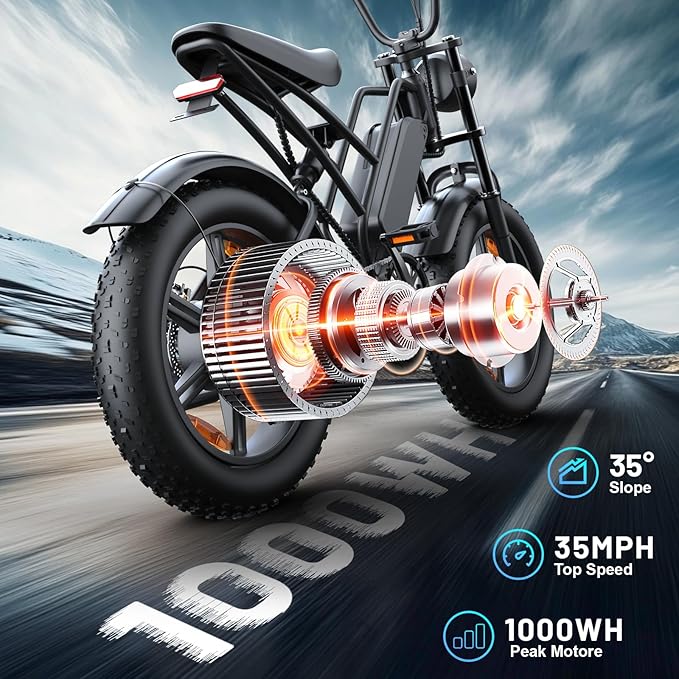 E500 Electric Bike for Adults 1000W Peak Motor, 20" Fat Tire Electric Bicycles with 40 Miles PAS Range, 7 Speed E-Bike with 48V Removable Battery, Dirt Ebike for Mountains, Sand, Road, Beach, Snow